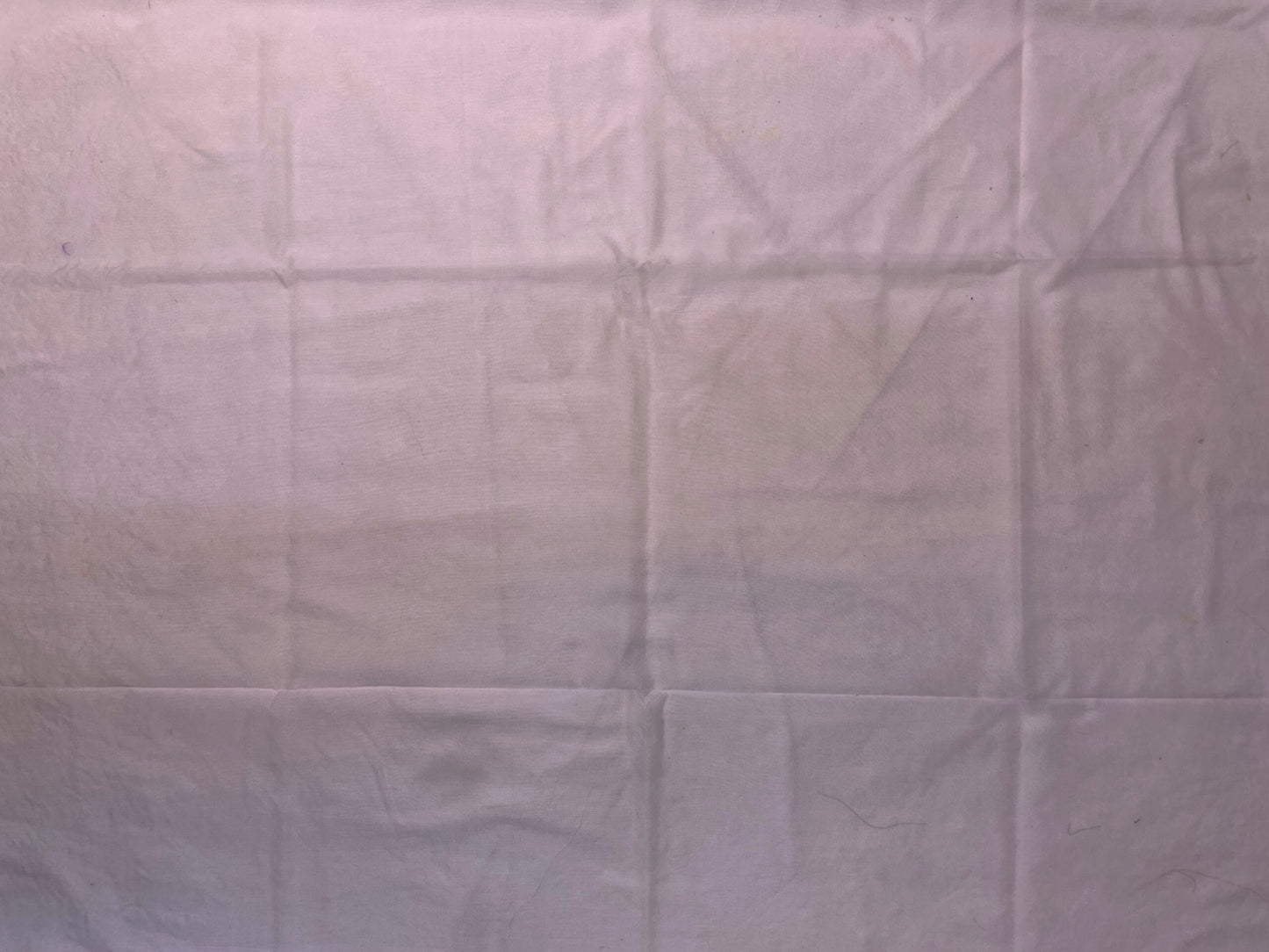 Purple Organza Saree Embroidery with Butta and Border Design b0333ds