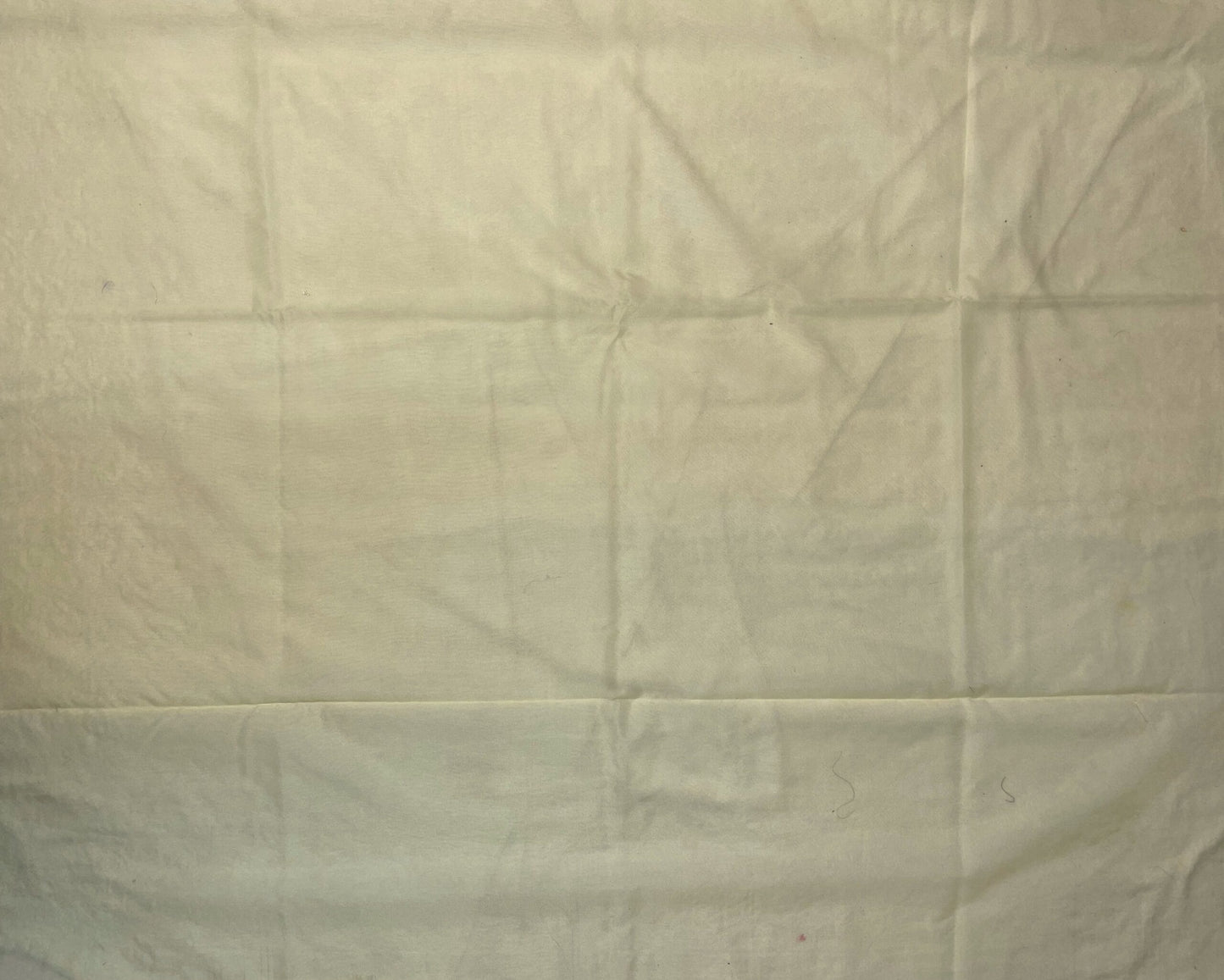 Cream Organza Saree Embroidery with Butta and Border Design b0334ds