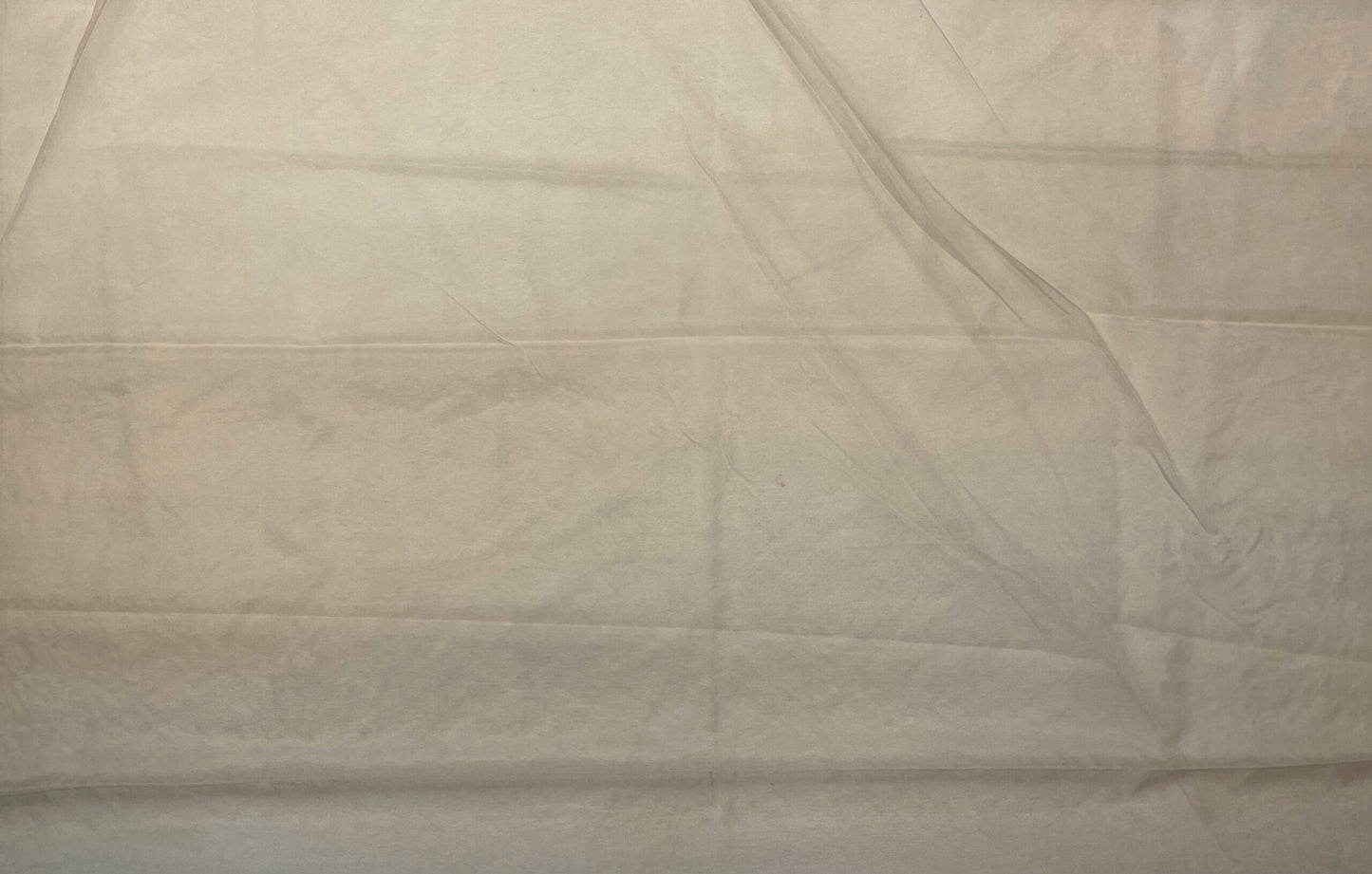 Cream Organza Saree Embroidery with Butta and Border Design b0335ds