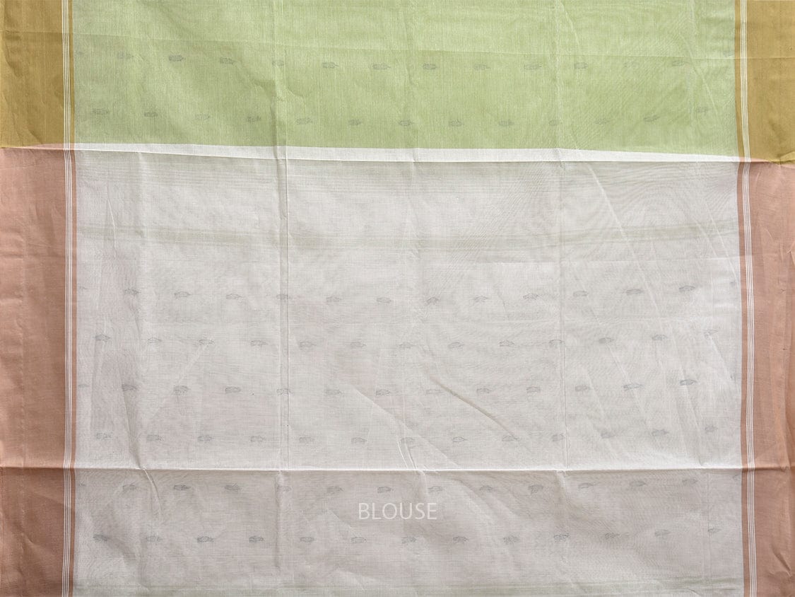 Light Green and White Venkatagiri Cotton Saree with Contrast Pallu Design v0135
