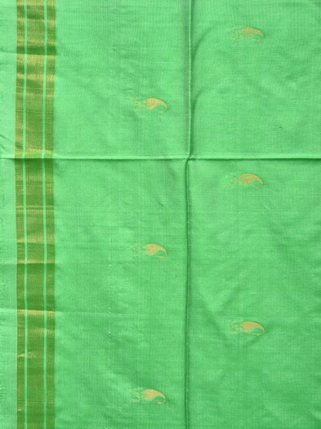 Light Green Uppada Silk Handloom Saree with Karpur Pallu Design u1712