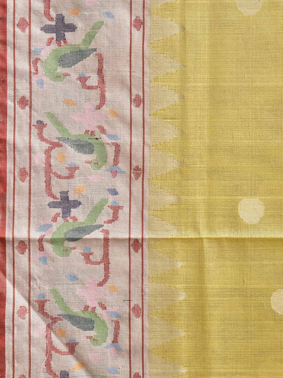 Yellow Paithani Tussar Cotton Handloom Saree with Parrots Border and Pallu Design p0497