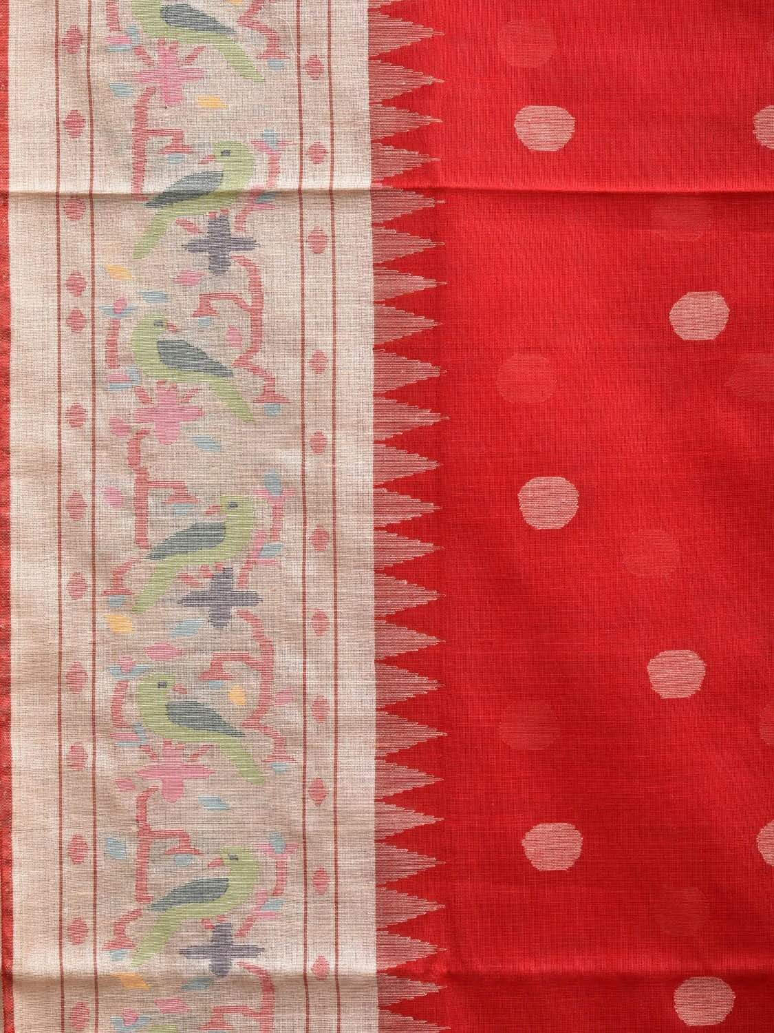 Red Paithani Cotton Handloom Saree with Parrot Border Design p0362