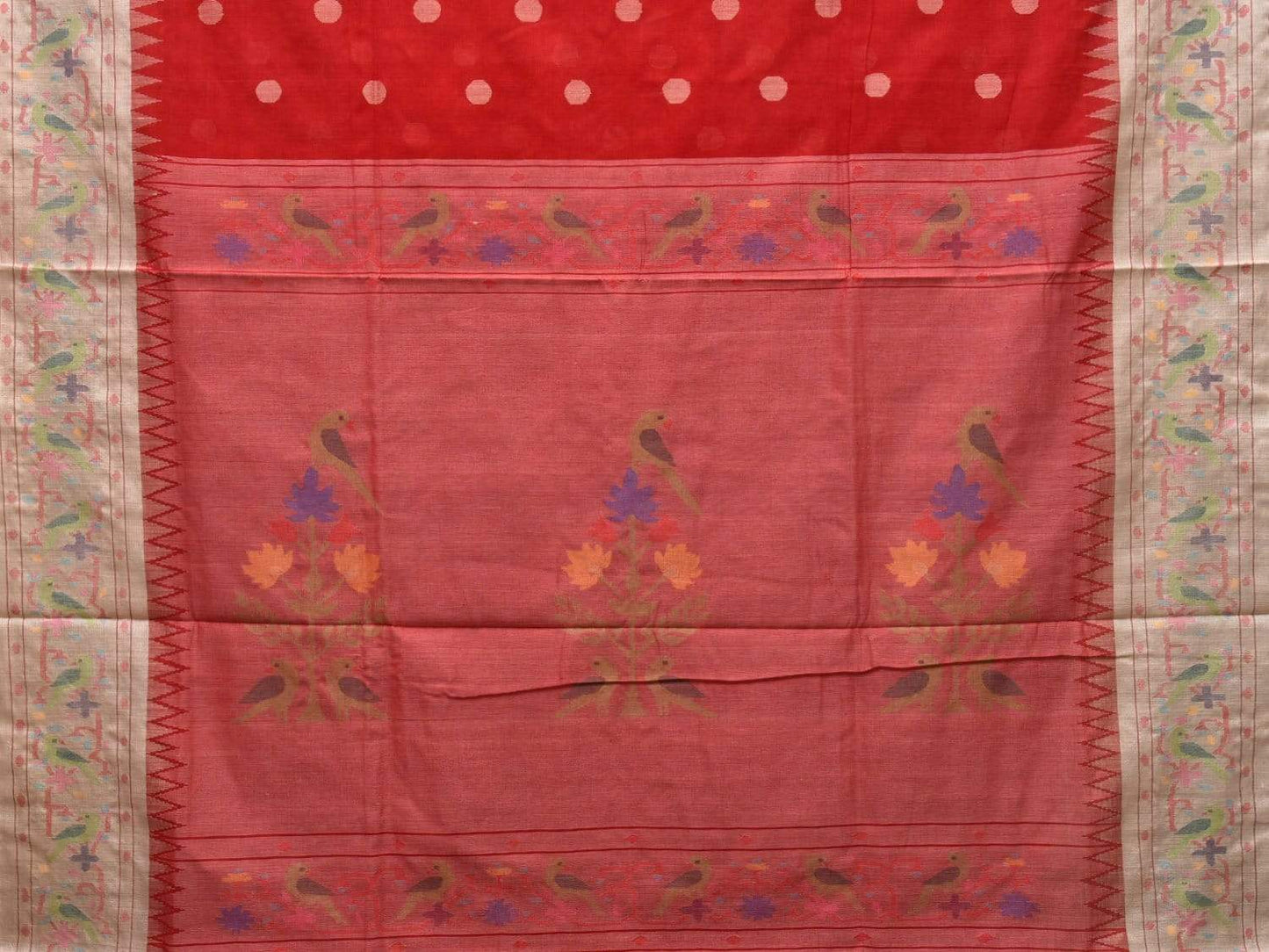 Red Paithani Cotton Handloom Saree with Parrot Border Design p0362