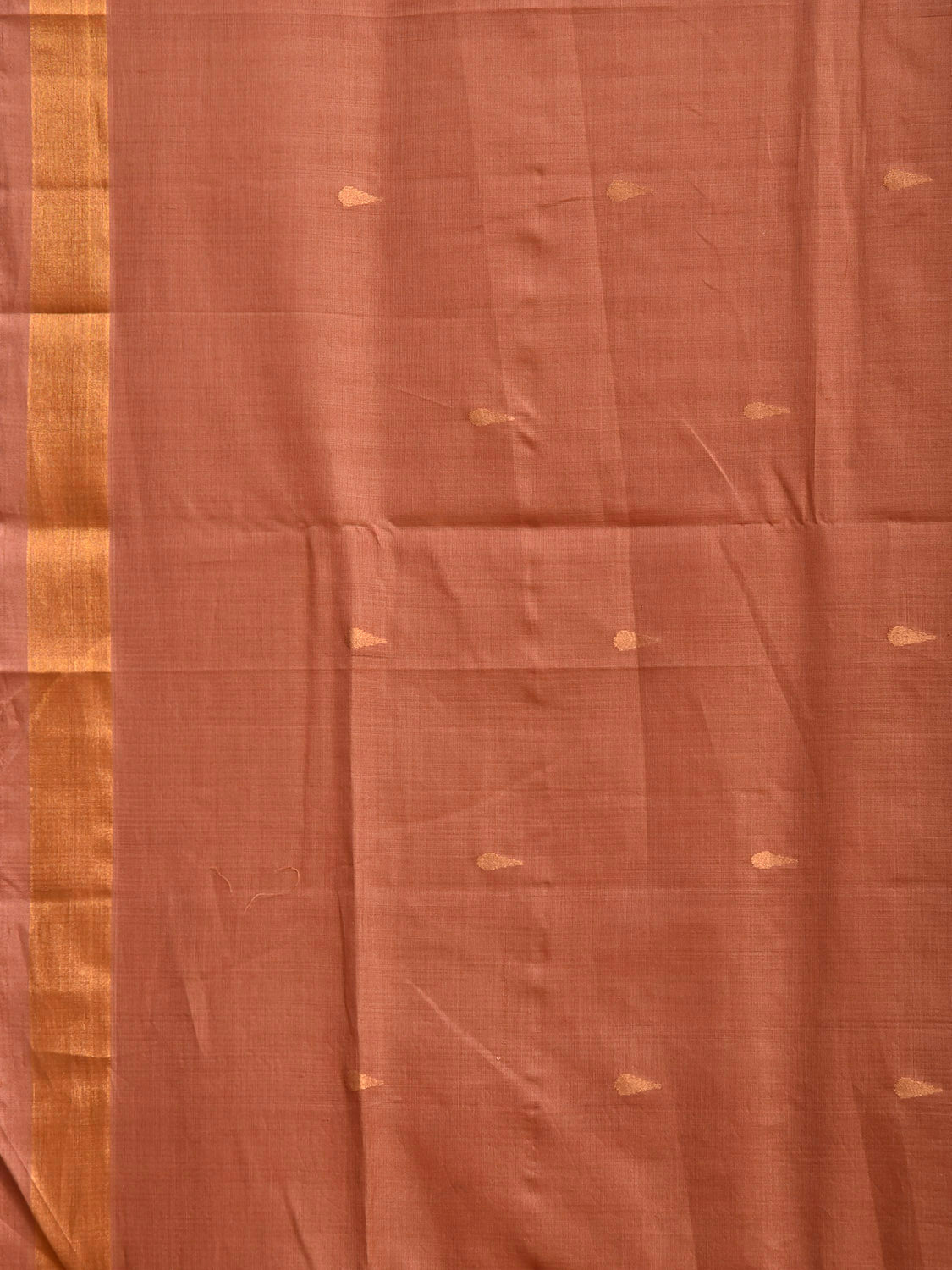Fawn Uppada Cotton Handloom Saree with Aashavali Pallu Design u2483