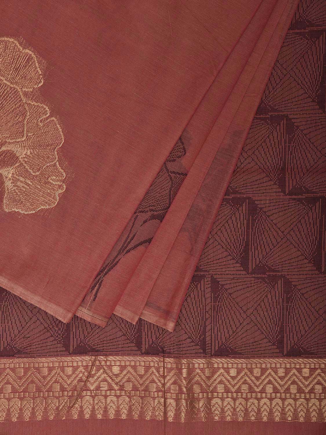 Rust Venkatagiri Cotton Saree with Leaves Buta Design v0230