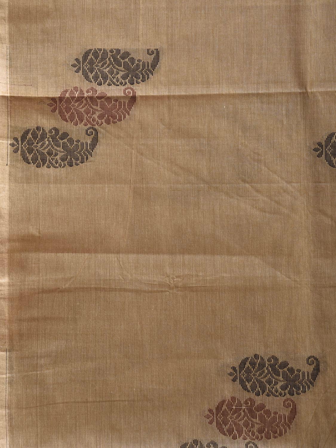 Cream Venkatagiri Cotton Saree with Mango Buta and Pallu Design v0271