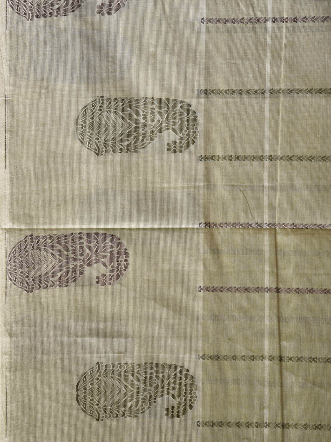 Light Green Venkatagiri Cotton Saree with One Side Mango Border Design v0281