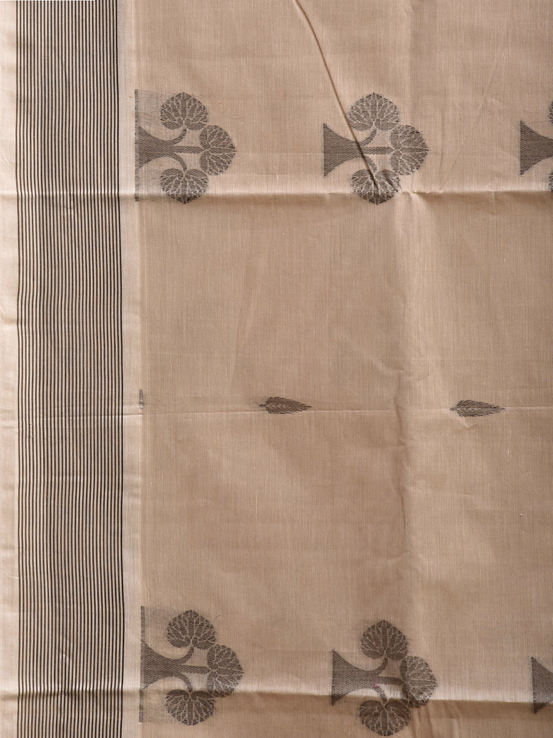 Cream Venkatagiri Cotton Saree with Tree Buta and Pallu Design v0294