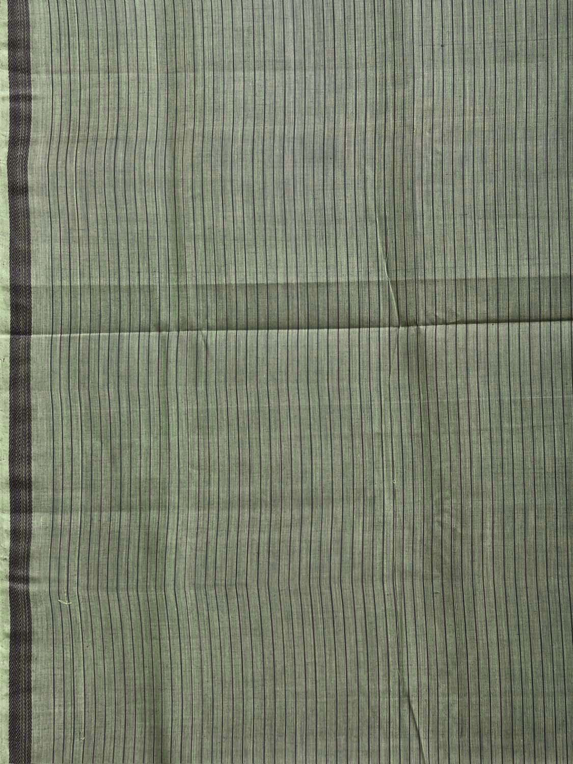 Green Venkatagiri Cotton Saree with Strips Body Design No Blouse v0323