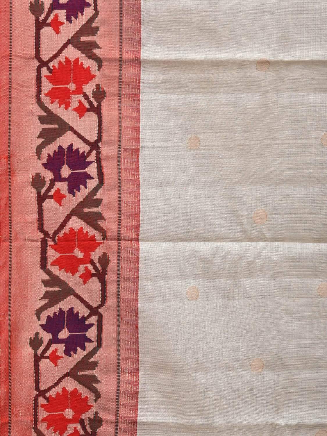 White Paithani Cotton Handloom Saree with Ashavali Border Design p0363