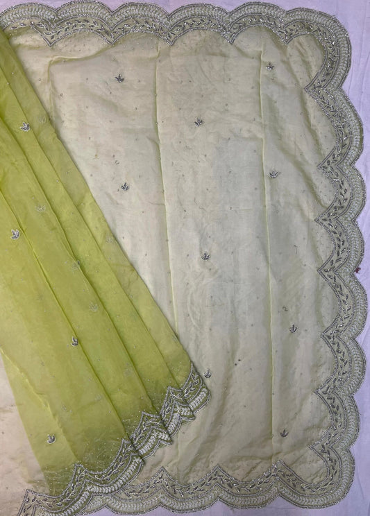 Light Green Organza Saree with Hand Embroidery with Butta and Border Design b0189ds