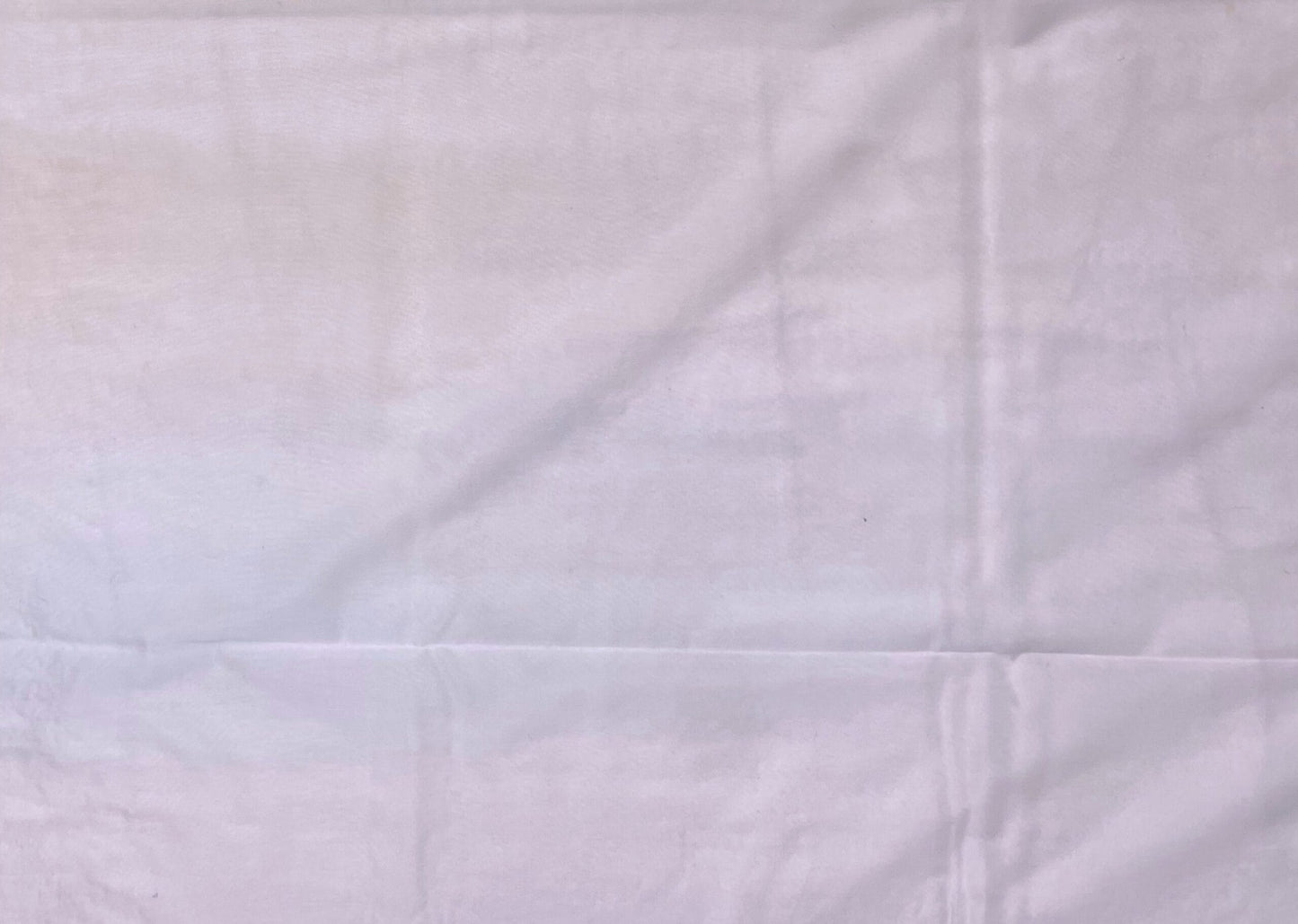 Light Purple Organza Saree Embroidery with Butta and Border Design b0345ds
