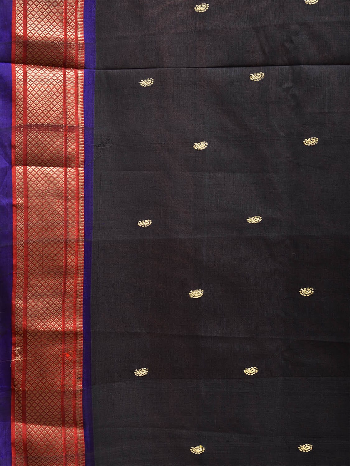 Black Paithani Cotton Handloom Saree with Single Pallu Design p0495