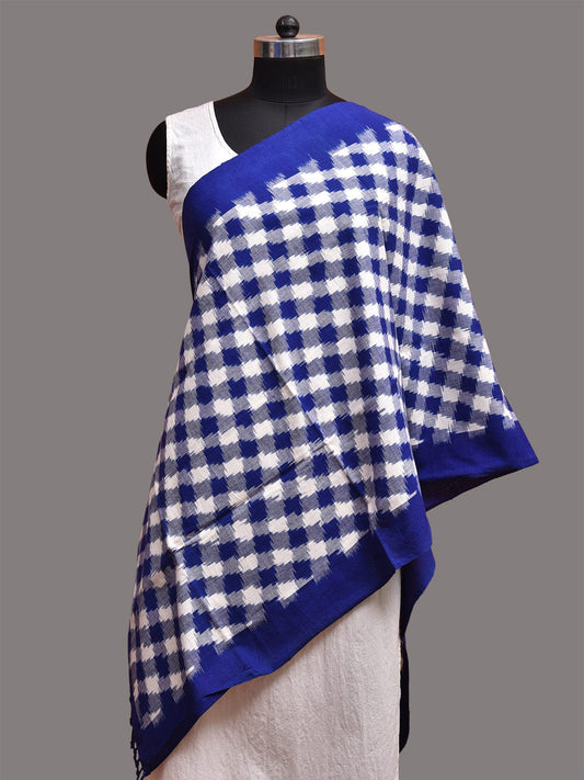 Blue and White Double Ikat Cotton Handloom Stole with Grill Design ds3742