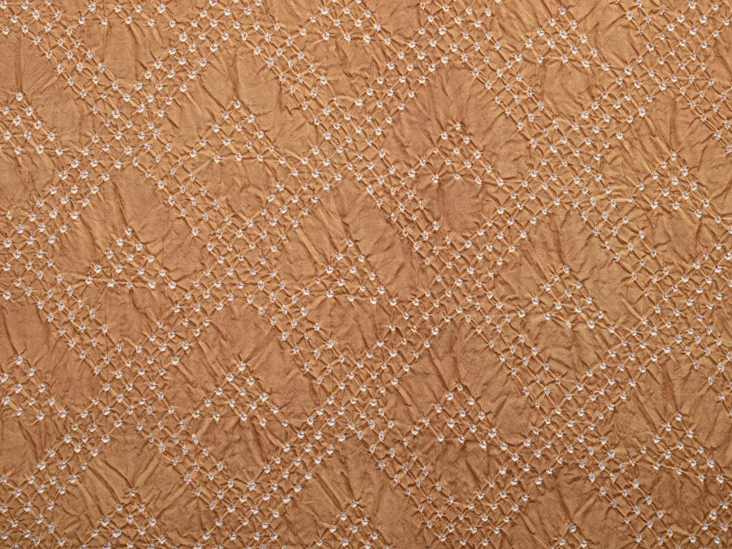 Cream Bandhani Kanchipuram Silk Handloom Saree with Border Design bn0386