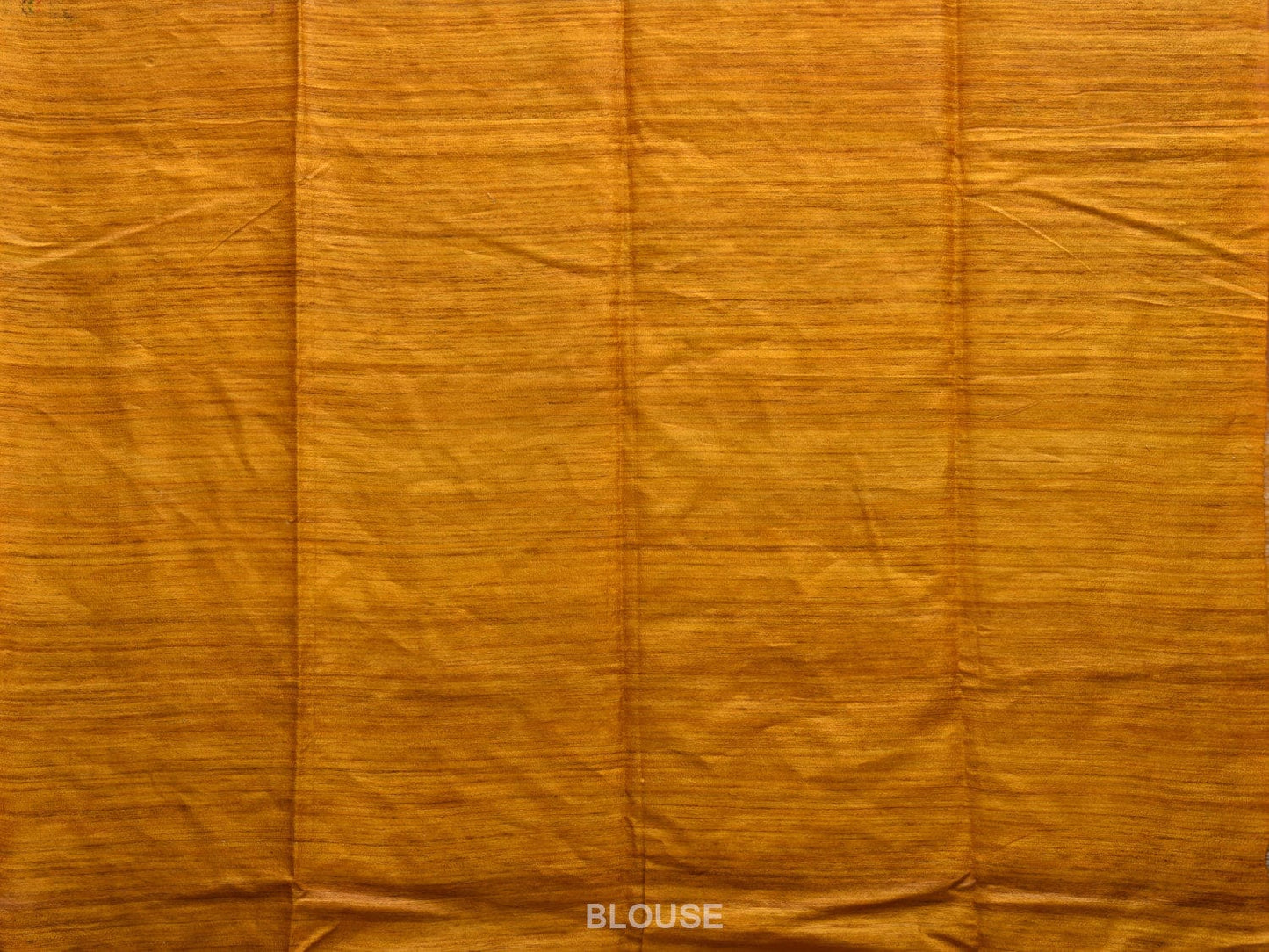 Cream Madhubani Print Tussar Saree with Village Theme Design o0459