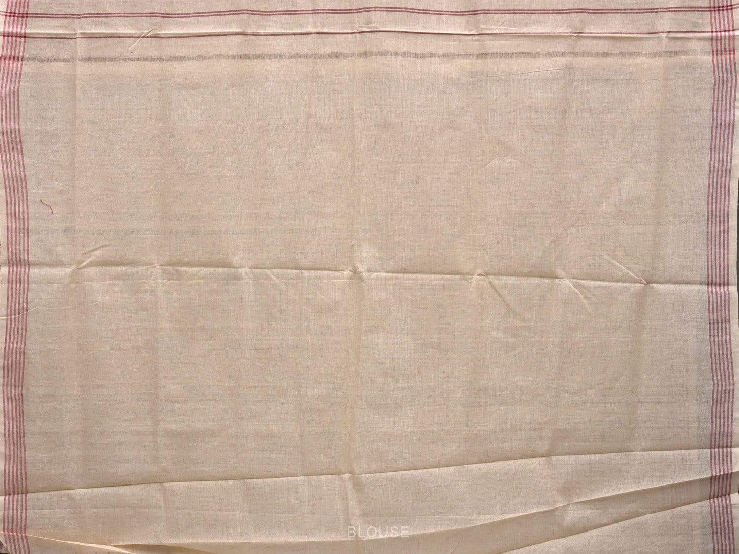 Cream Pochampally Ikat Cotton Handloom Saree with All Over Body Design i0633