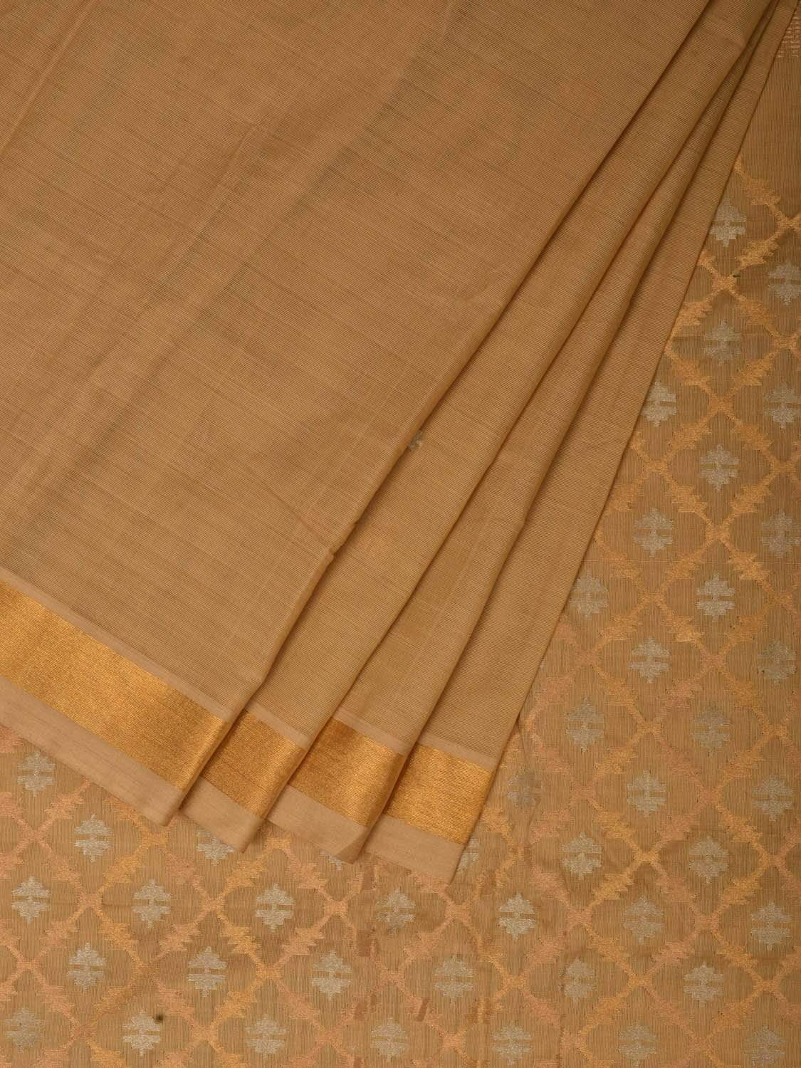 Cream Uppada Cotton Handloom Saree with Jamdani Pallu Design u1776