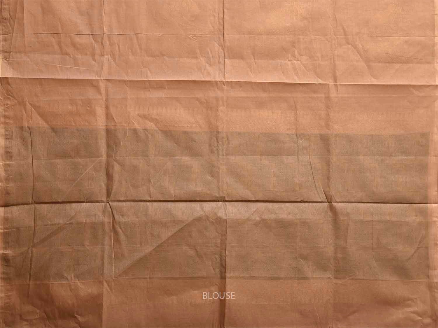 Fawn Venkatagiri Cotton Saree with Leaves Buta and Pallu Design v0121