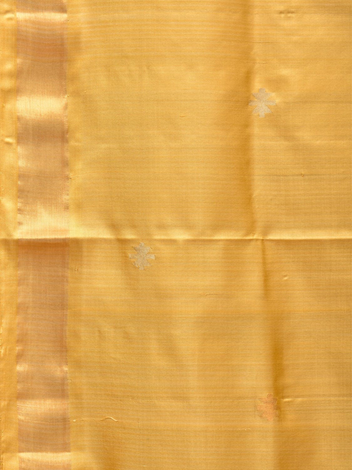 Golden Uppada Silk Handloom Saree with Jamdani Pallu Design u2034