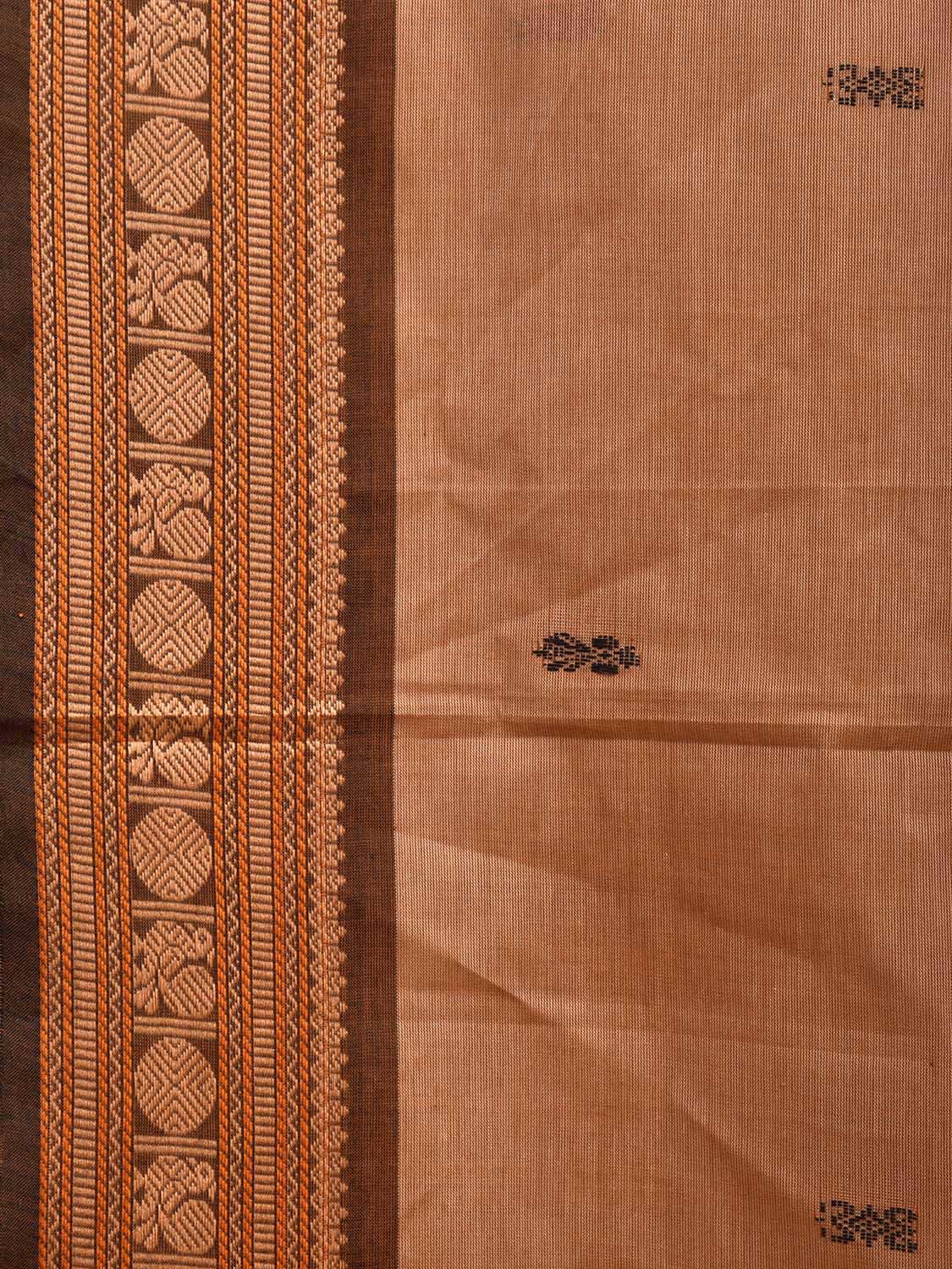 Cream Kanchipuram 80s Cotton Plain Saree with Buta and Peacock-Rudraksh Border Design No Blouse k0659