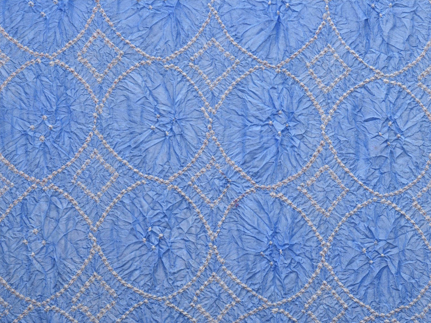 Light Blue and Dark Blue Bandhani Kanchipuram Silk Handloom Saree with Pallu and Border Design bn0449