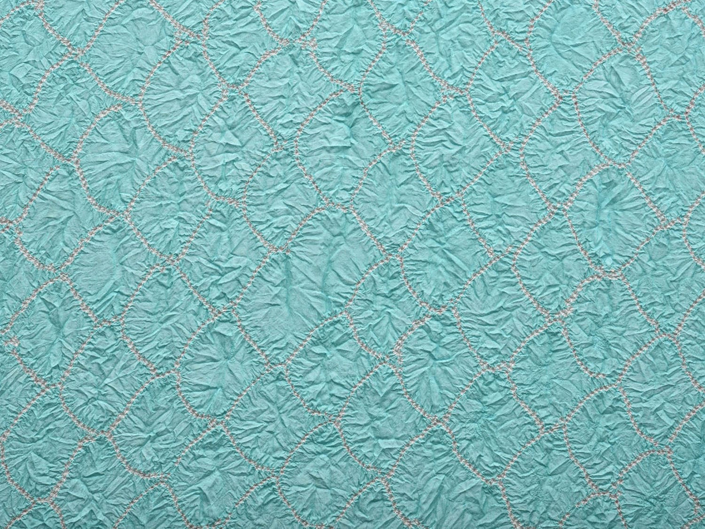 Light Blue and Red Bandhani Kanchipuram Silk Handloom Saree with Border Design bn0381