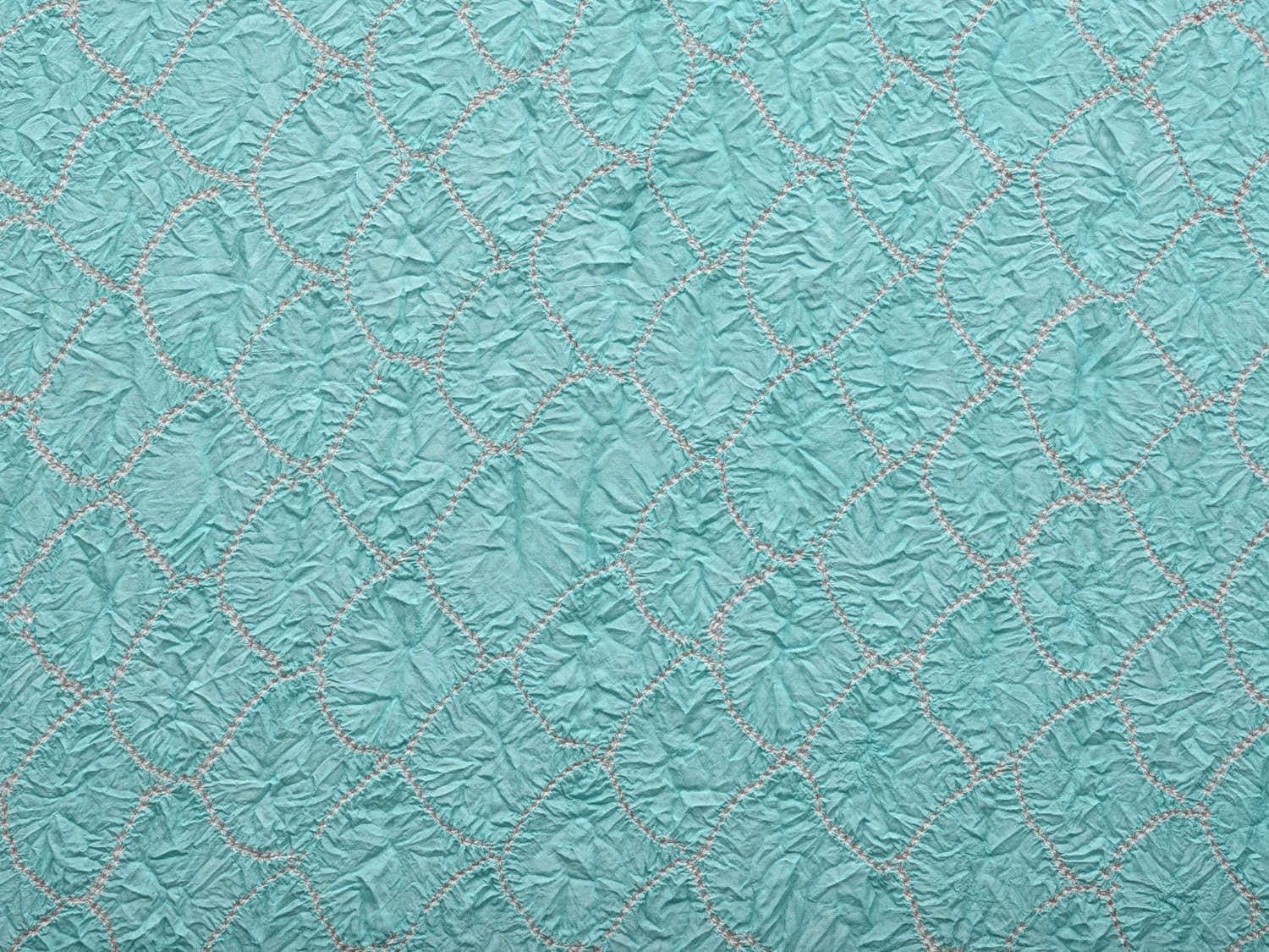 Light Blue and Red Bandhani Kanchipuram Silk Handloom Saree with Border Design bn0381