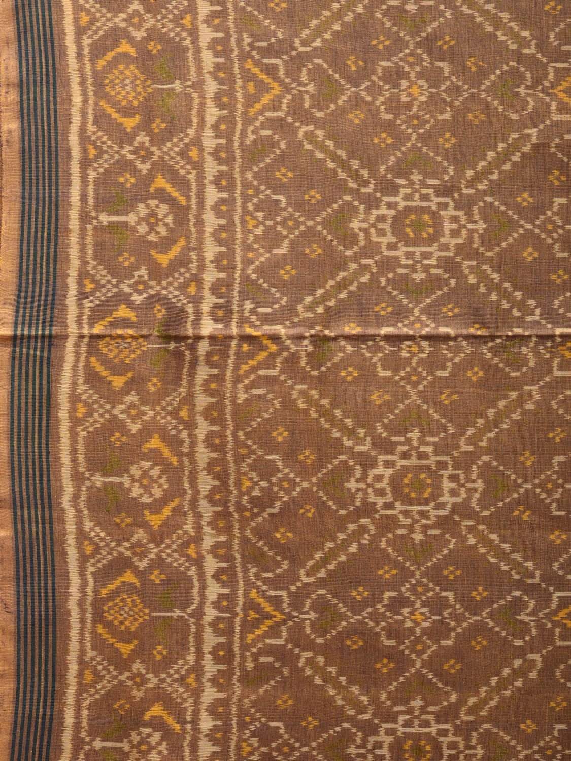 Light Brown Pochampally Ikat Cotton Handloom Saree with All Over Body Design i0637