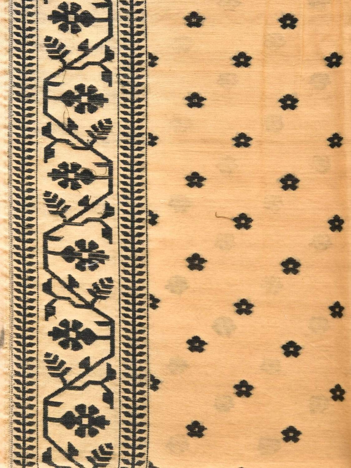 Light Orange Banaras Cotton Handloom Saree with Border Design b0289