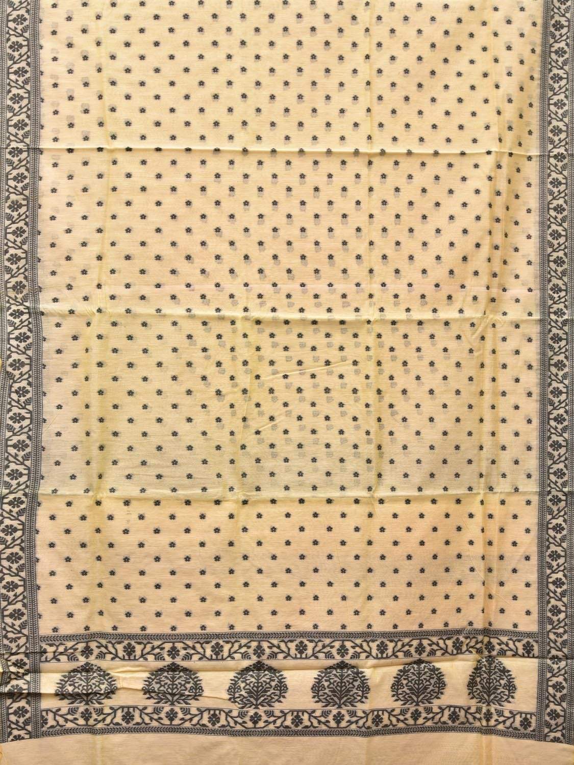 Light Yellow Banaras Cotton Handloom Saree with Border Design b0291