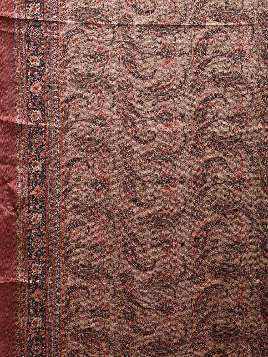 Multicolor Pashmina Print Viscose Twill Saree with Pasley Design o0559