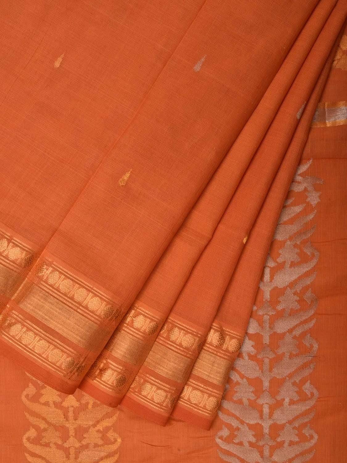 Mustard Uppada Cotton Handloom Saree with Karpur Pallu Design u1765