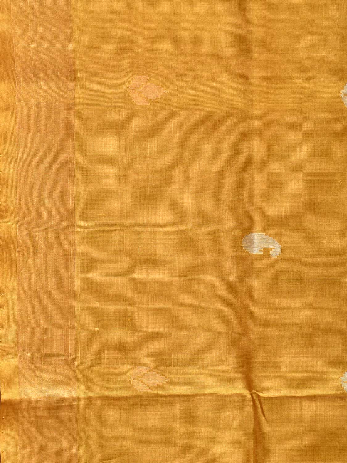 Mustard Uppada Silk Handloom Saree with Birds and Floral Pallu Design u2056