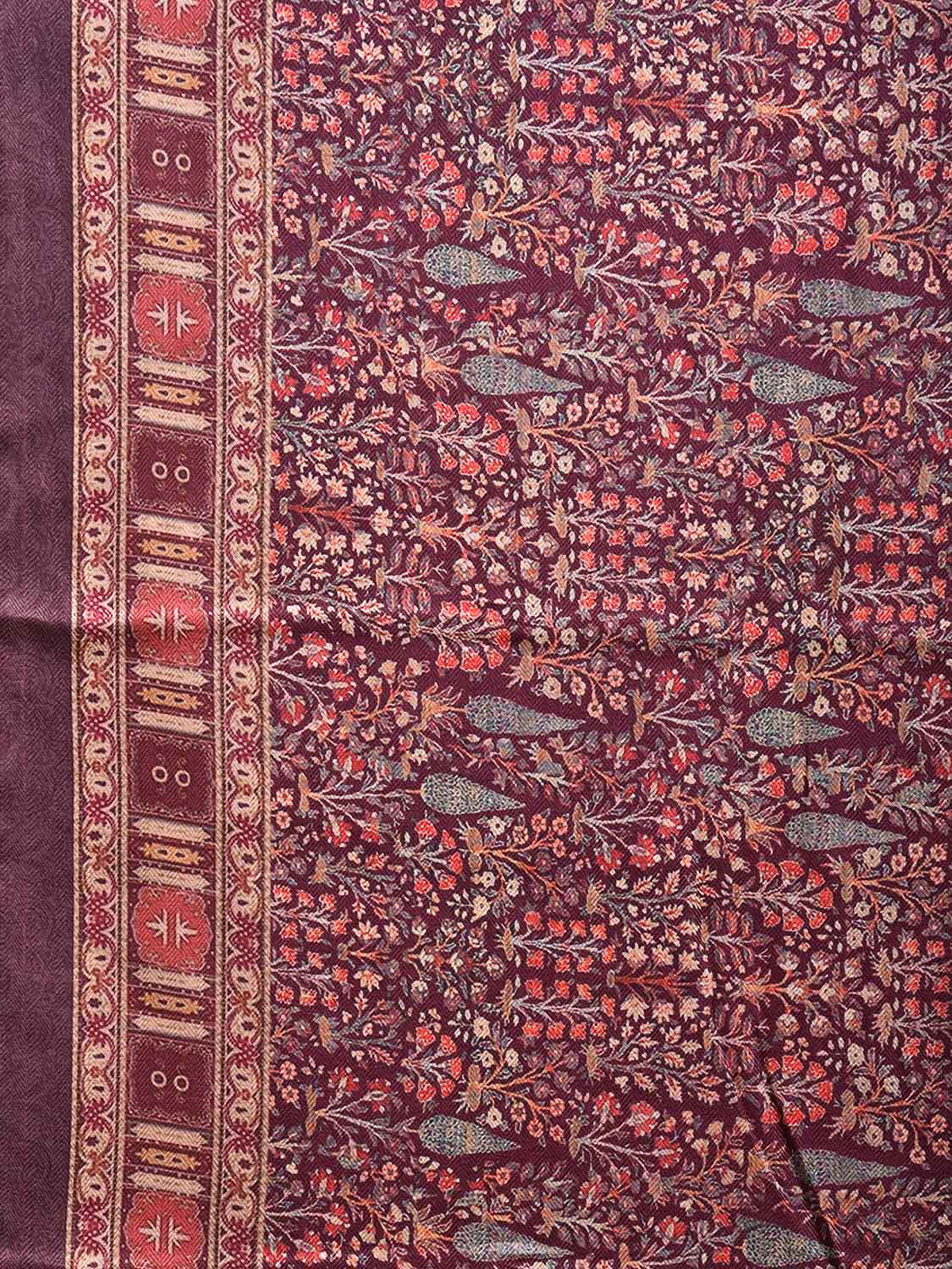 Maroon Pashmina Print Viscose Saree with Floral Body and Pallu Design o0601