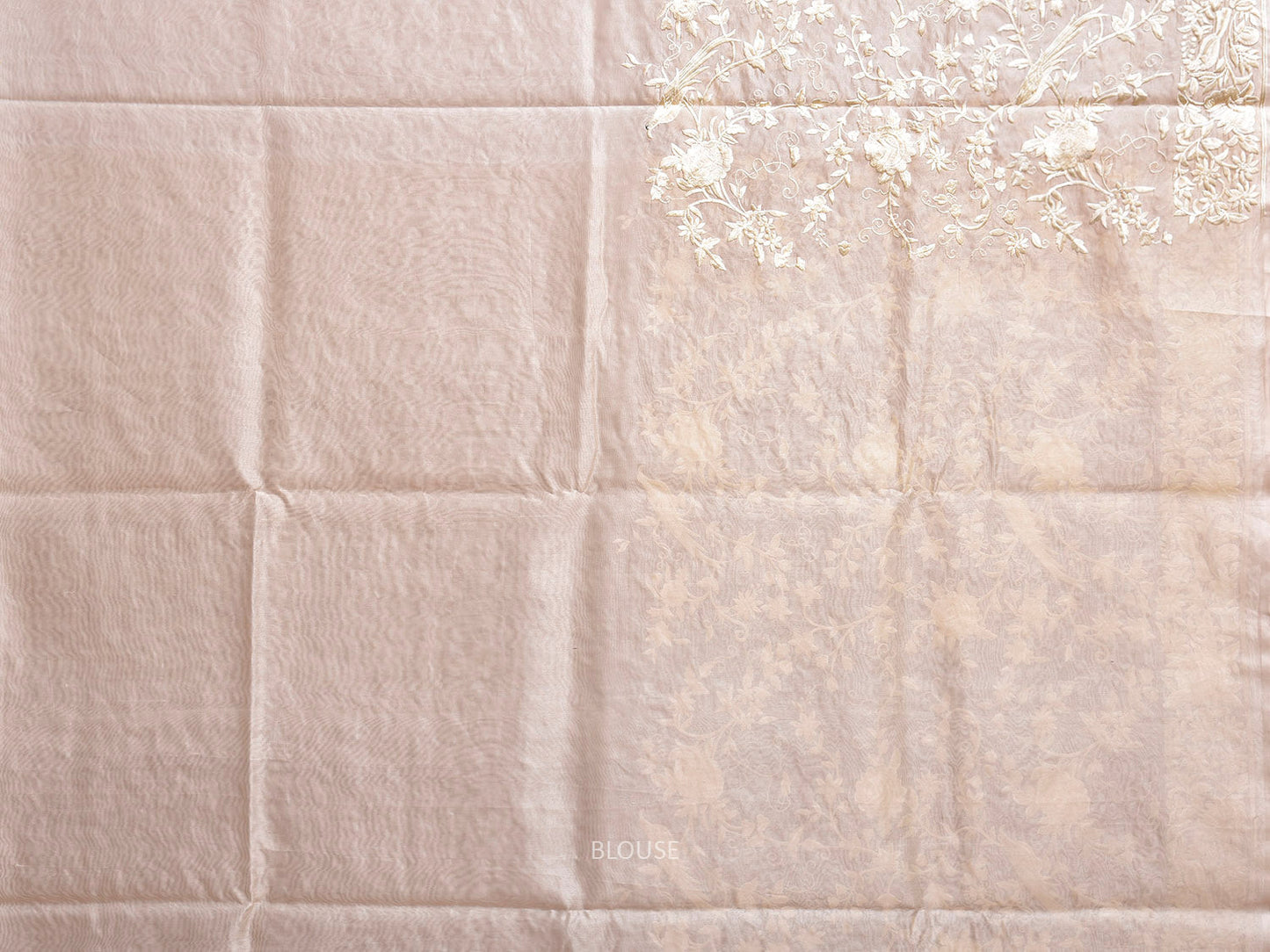Beige Parsigara Organza Saree with All Over Floral and Border Design o0732