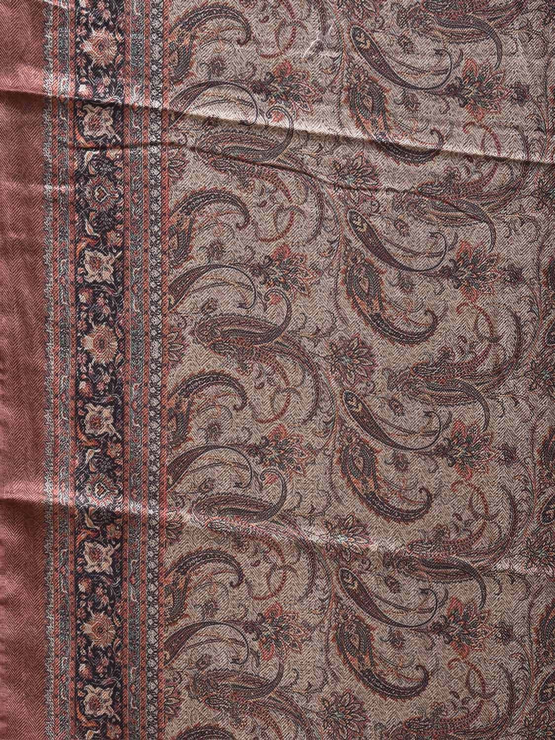 Light Grey Pashmina Print Viscose Saree with All Over Pasley Body and Pallu Design o0757