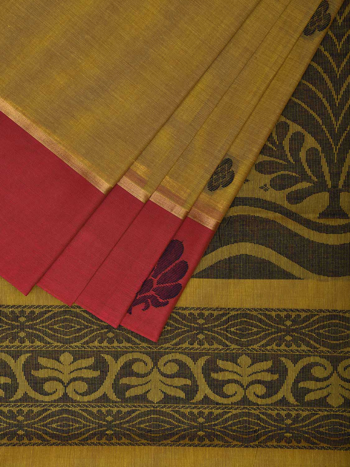 Olive and Burgundy Kanchipuram Cotton Saree with Pallu and Border Design k0773