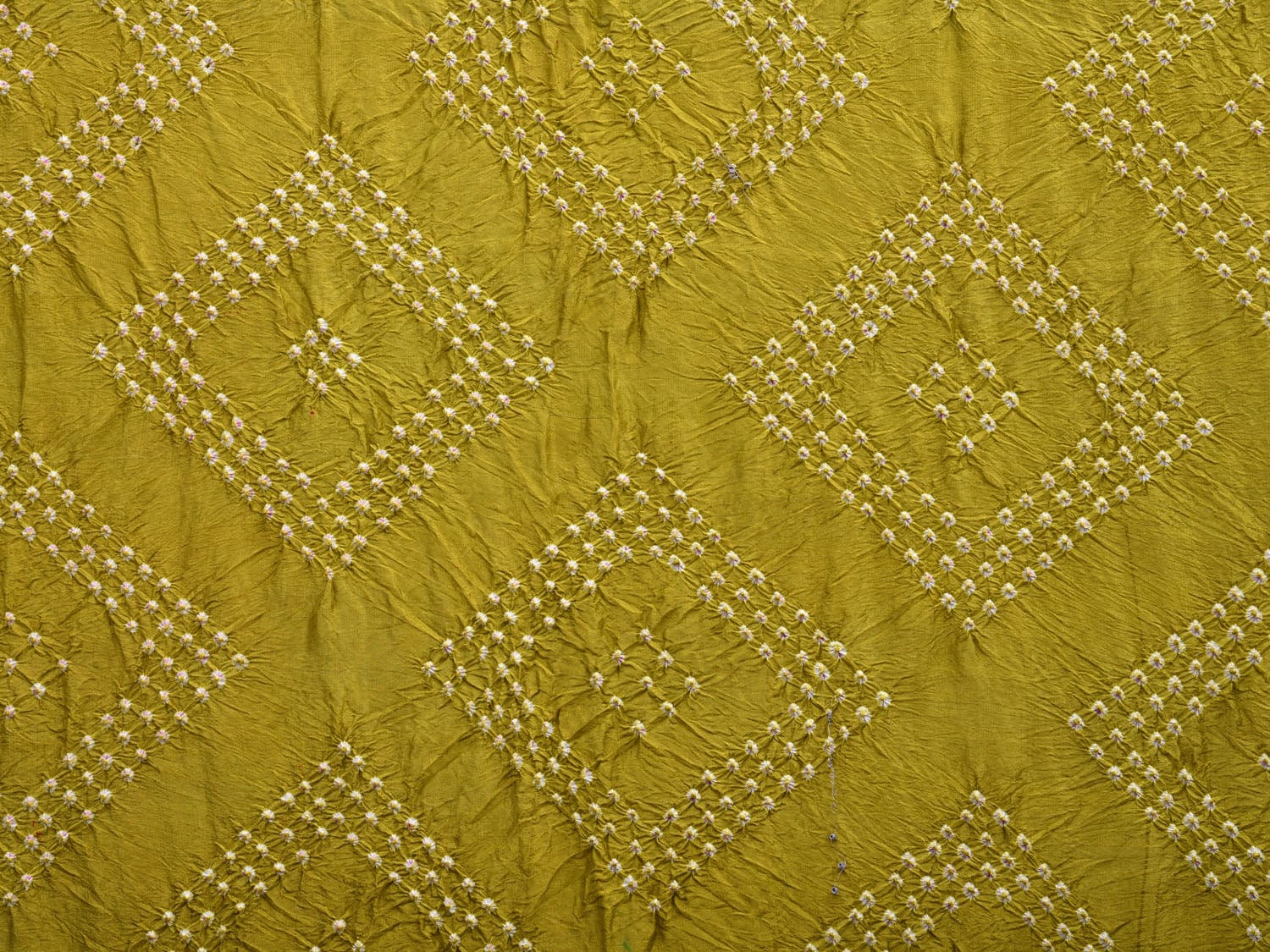 Olive and Red Bandhani Kanchipuram Silk Handloom Dupatta with Border Design ds2767