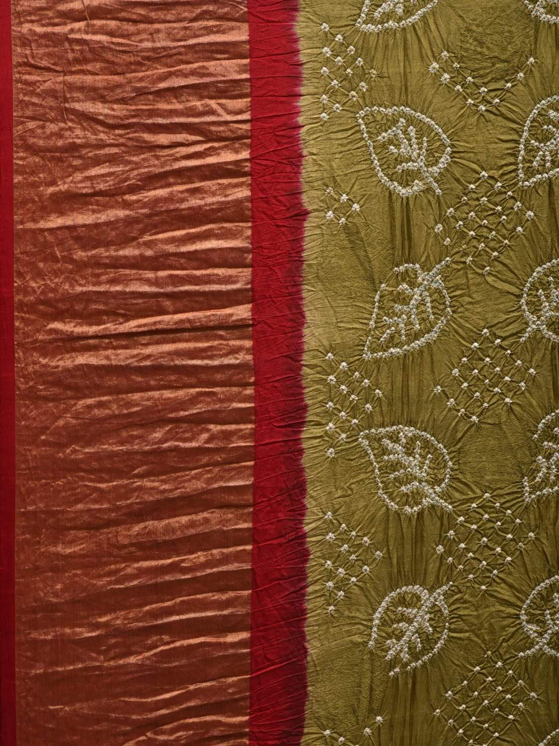Olive and Red Bandhani Kanchipuram Silk Handloom Saree with Leaf Design bn0303