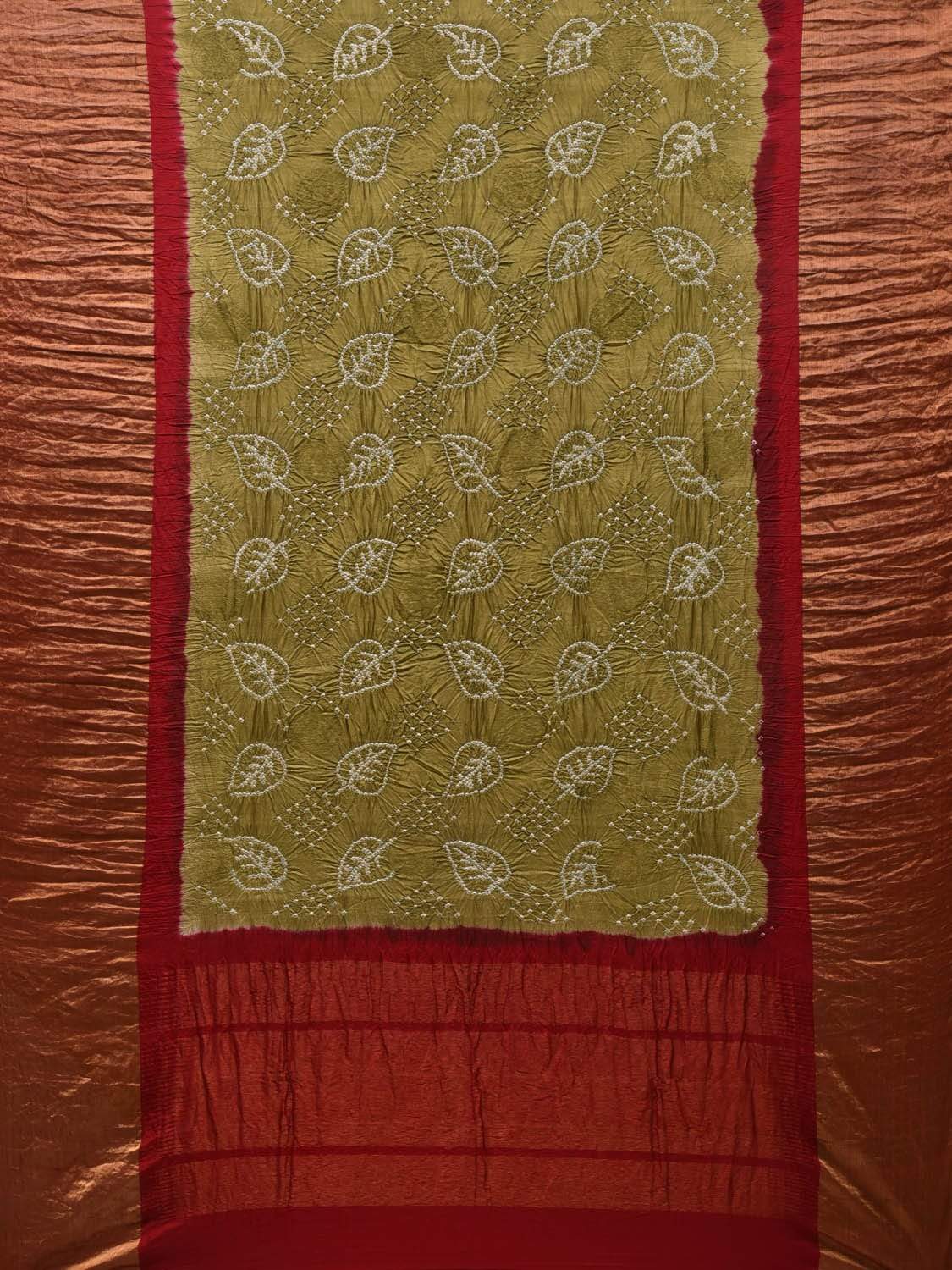 Olive and Red Bandhani Kanchipuram Silk Handloom Saree with Leaf Design bn0303
