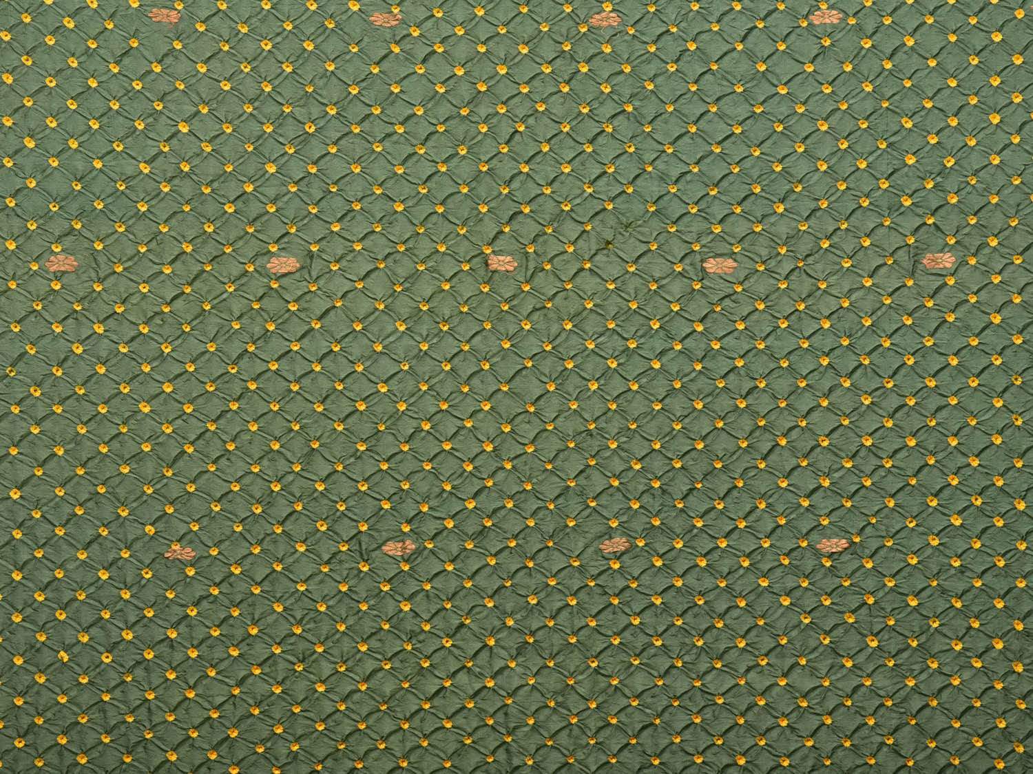 Olive and Yellow Bandhani Kanchipuram Silk Handloom Saree with Border Design bn0221