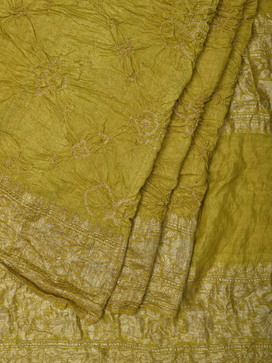 Olive Bandhani Banaras Georgette Saree with Border and Pallu Design bn0258