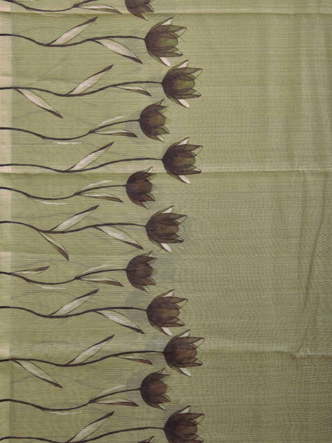 Olive Cotton Saree with Lotus Plaints Border Digital Print Design o0501