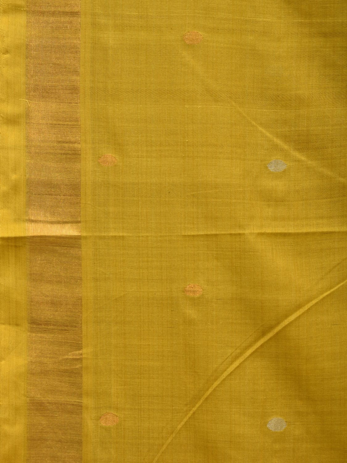 Olive Uppada Cotton Handloom Saree with Grill Pallu Design u1912