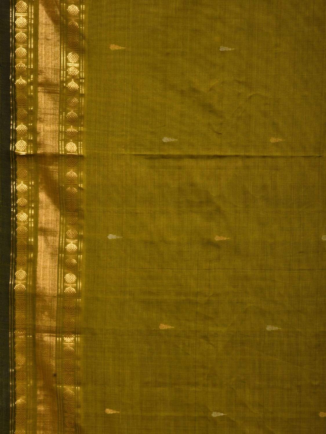 Olive Uppada Cotton Handloom Saree with Karpur Pallu Design u1775