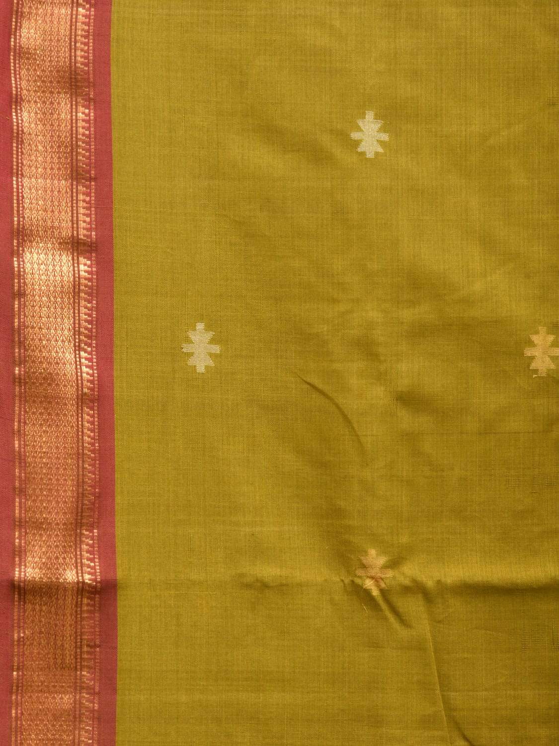 Olive Uppada Cotton Handloom Saree with Pallu and Ganga-Jamuna Border Design u1764