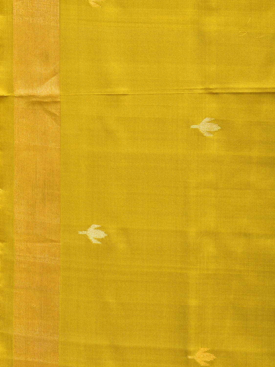 Olive Uppada Silk Handloom Saree with Jamdani Pallu Design u2044