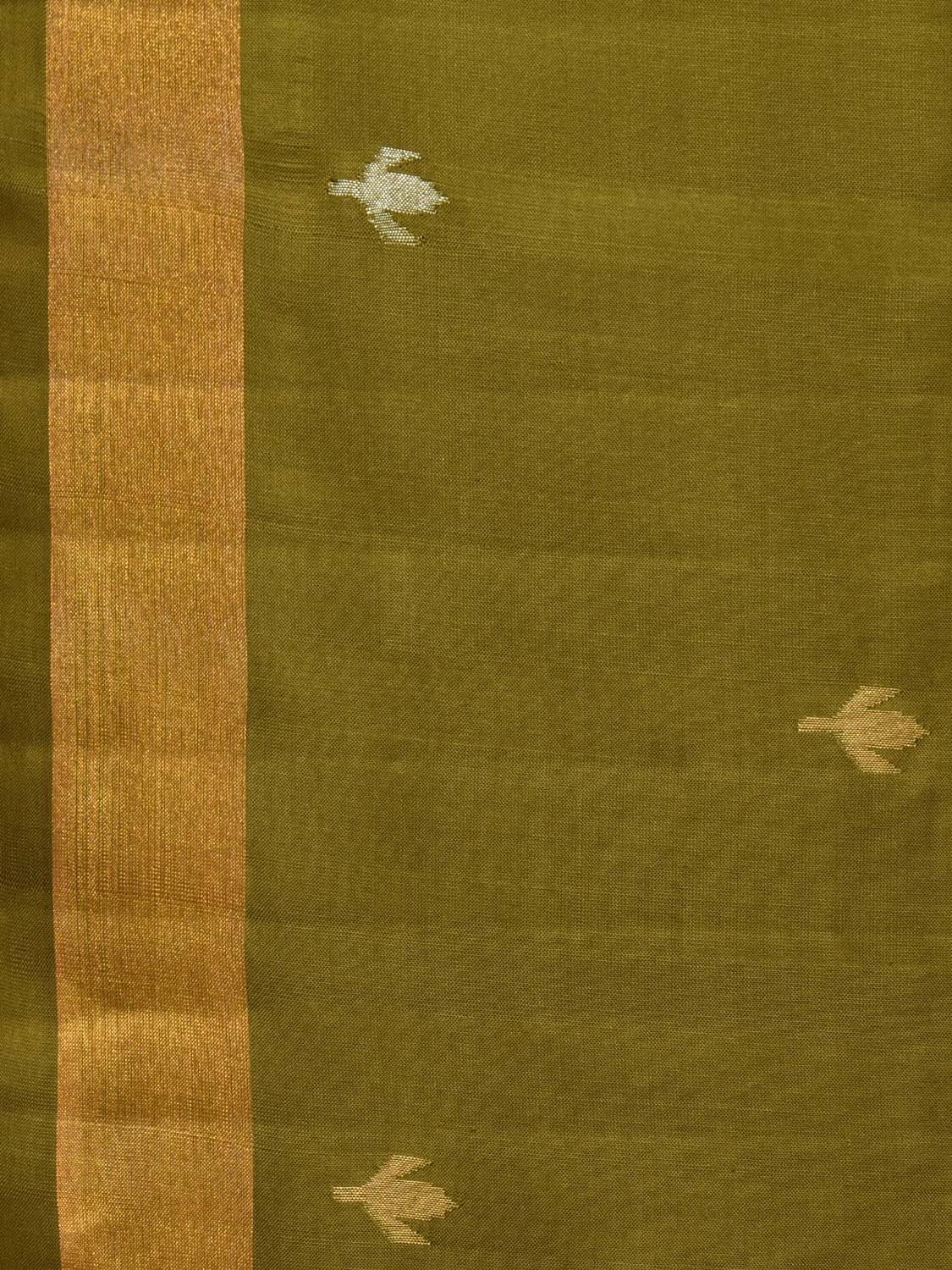 Olive Uppada Silk Handloom Saree with Karpur Pallu Design u1968